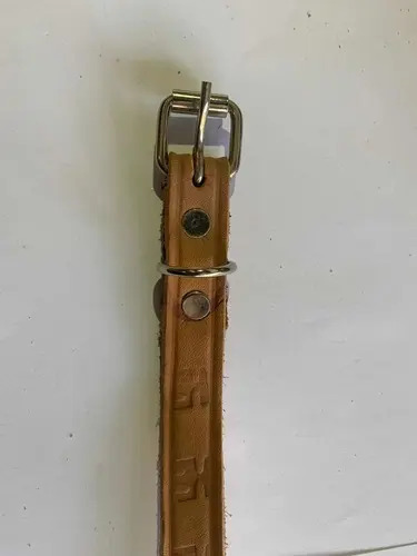 Collar Para Perro Hecho En Suela , Perros Chicos Beige Copa S - Imagen 4