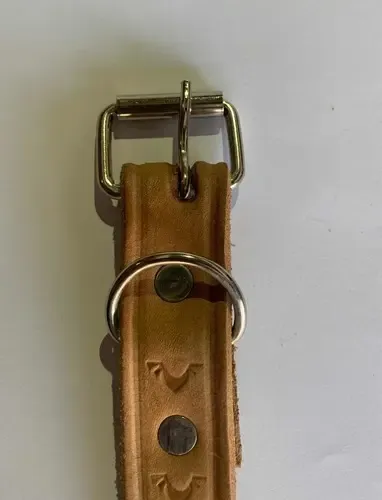 Collar Para Perro En Suela , Perros Medianos Beige Pájaro M - Imagen 6